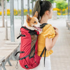 Sac Porte Chien Randonnée – Sac À Dos Respirant & Ajustable