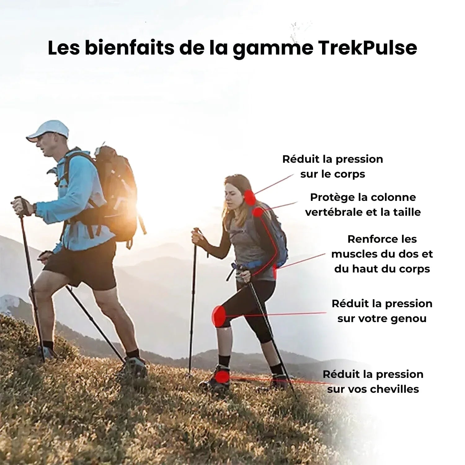 Bâton de Randonnée avec Amortisseur Dynamique Léger (65–135 cm) - Aluminium 6061 - TrekPulse